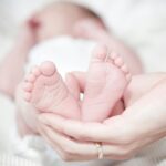 The Wonderful Journey of a Baby Entering the World