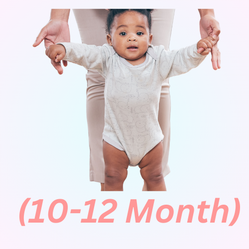growth milestones| baby 10-12 month| deeruniverse.me
