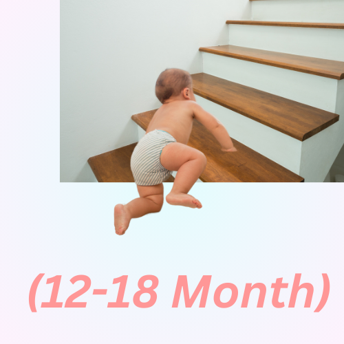 growth milestones| baby 12-18 month| deeruniverse.me